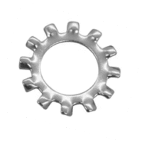 Shakeproof Washers BZP